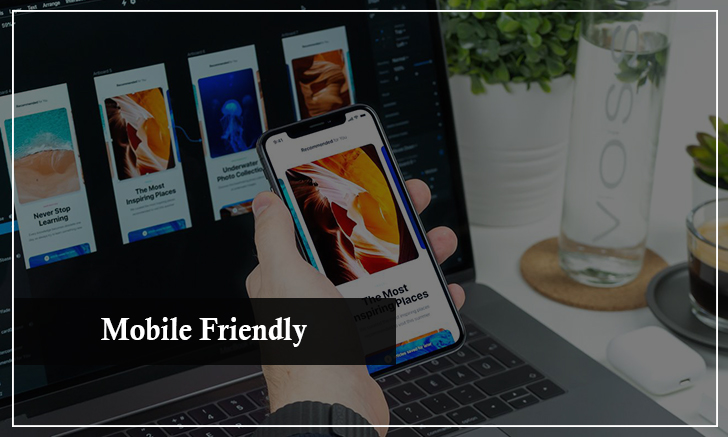 Mobile Friendly eCommerce Website