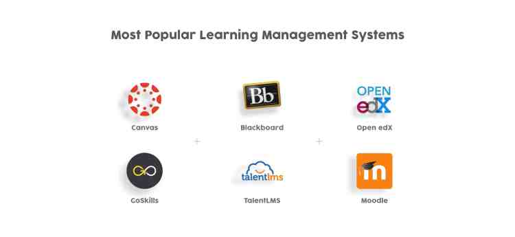 Examples of a Learning Management System software