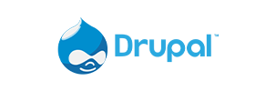 Drupal Development Services Icon