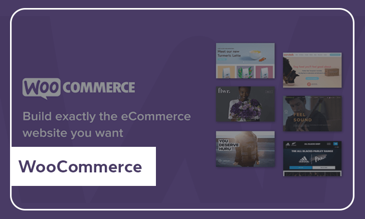 WooCommerce ecommerce development
