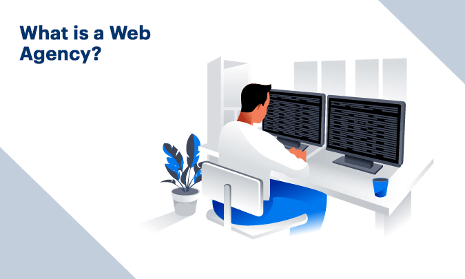 Why Should You Hire a Web Development Company for your Business?